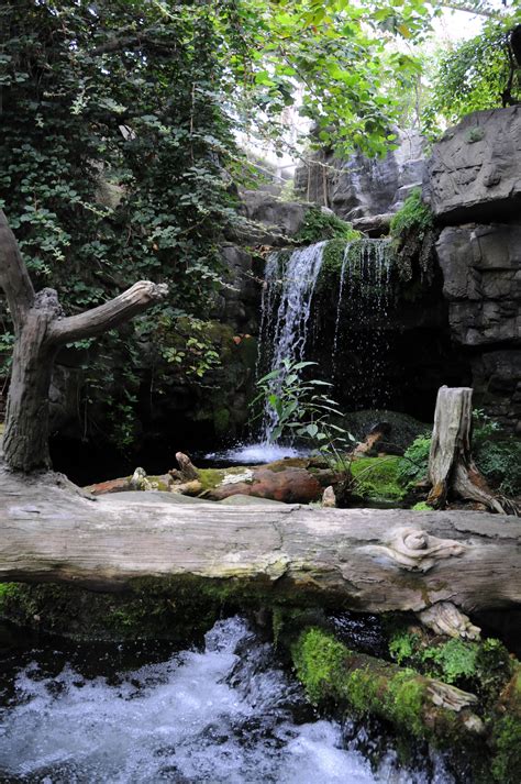 Tennessee Aquarium - Otter Habitat | Tennessee aquarium, Habitats, Outdoor