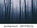 Gloomy Forest Background Free Stock Photo - Public Domain Pictures