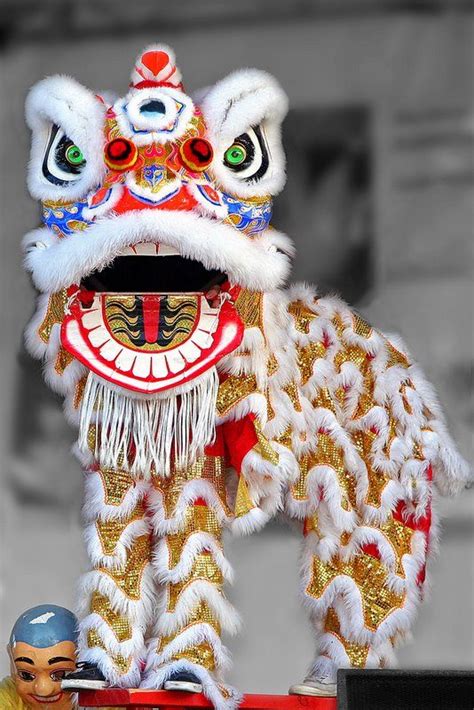 art dance | Dragon and Lion Dance: Art, Culture, Entertainment, Sports, and more ... | Dragon ...