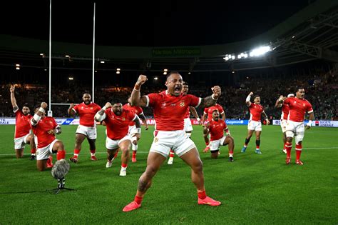 RWC 2023: South Africa vs Tonga previous scores and H2H stats | Extra Time Media