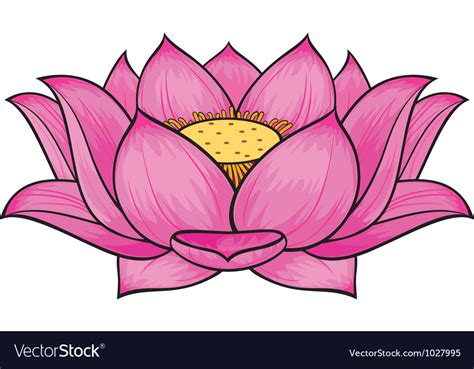 Lotus Flower Vector Graphic