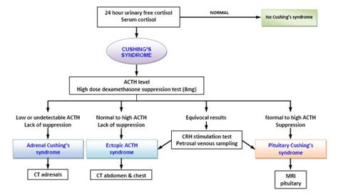 Cushings Diagnosis - Endocrinesurgery.net.au | Cushings syndrome ...