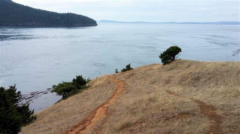 Under the Starry Sky: Camping at Washington Park in Anacortes