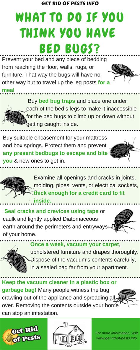 How do you get rid of bed bugs. For years, bedbugs were a rare… | by John Michael | Medium