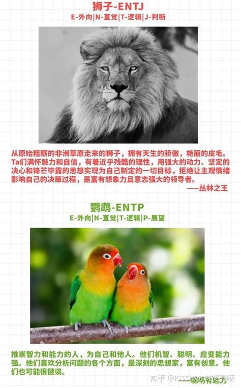 史上最全MBTI解析！ - 知乎