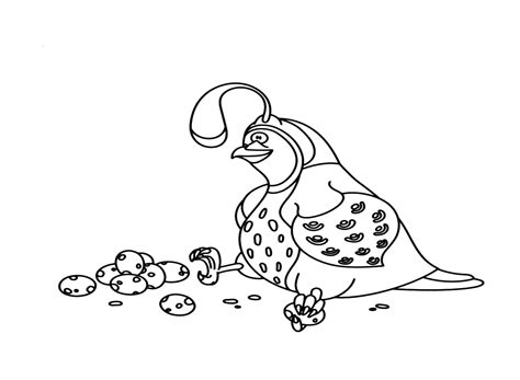 Quail Picture To Color - Free Printable Coloring Pages