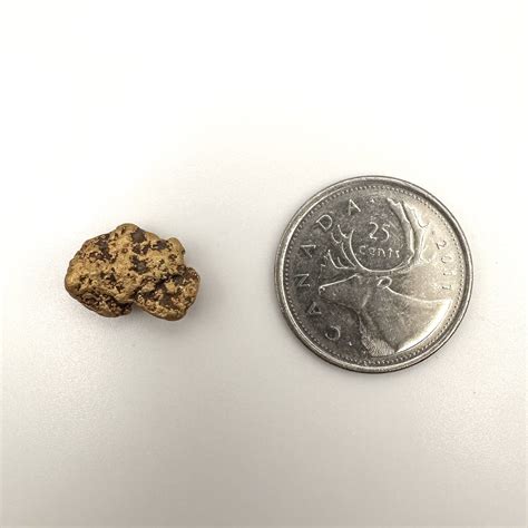 Gold Nugget 5.48g SOLD - Mammoth Gold Nuggets