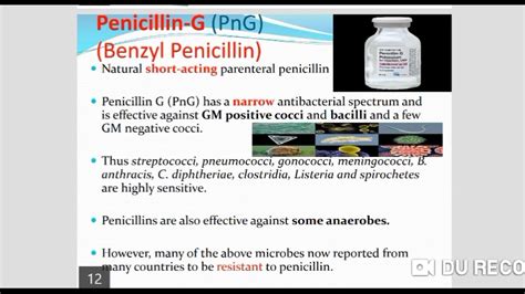 Penicillin G Mechanism Of Action