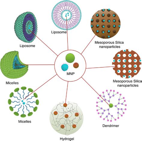 Recent progress of magnetic nanoparticles in biomedical applications: A review - Anik - 2021 ...