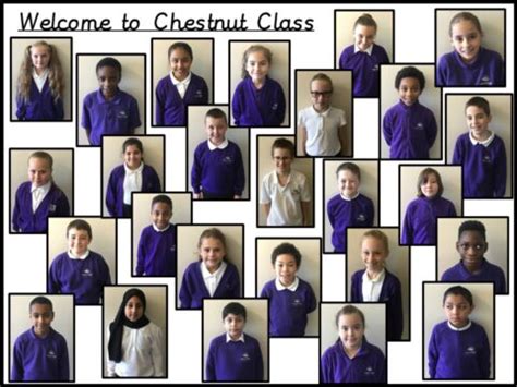 Year 5 Chestnut | Ramridge Primary School, Turners Road North, Luton, Bedfordshire, LU2 9AH