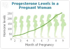 Symptoms Of Low Progesterone In Early Pregnancy - PregnancyWalls