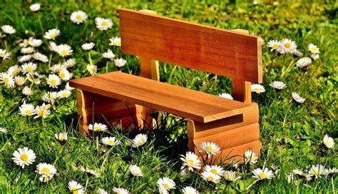 5 Stunning Cedar DIY Projects