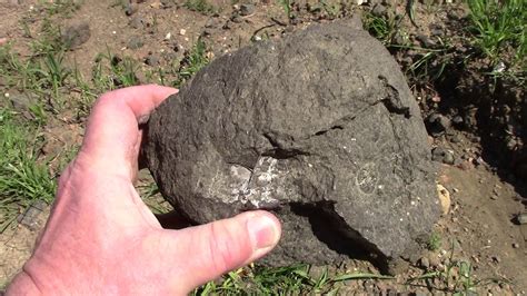 Crater of Diamonds Collecting Magmatic Lamproite Specimens - YouTube