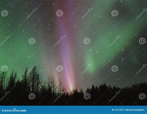 Pink Aurora Borealis stock image. Image of aurora, night - 151125