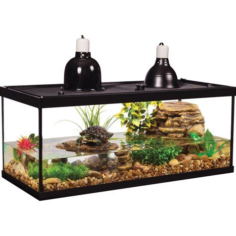 Best Turtle Tank Setup: The Definitive Guide - Expert Aquarist Aquatic Turtle Tank, Turtle ...