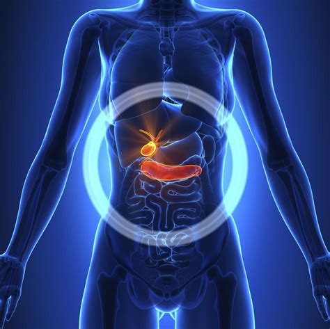 Gallbladder Pain Location Diagram