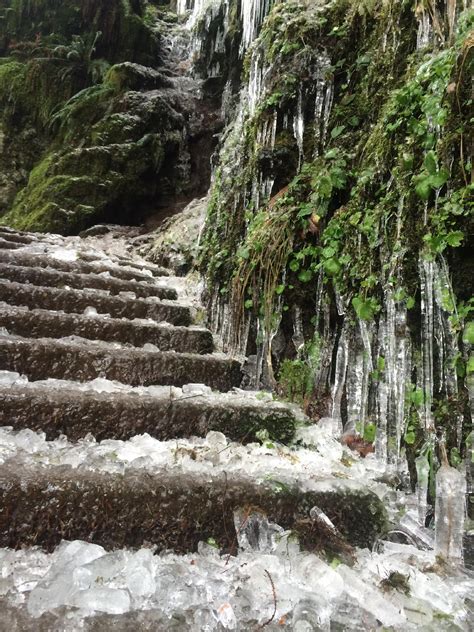 Silver Falls State Park trails reopen after icicle dangers | KVAL