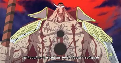 WHITEBEARD’S WOUNDS | ONE PIECE GOLD