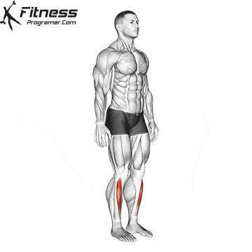 Standing Dorsiflexion » Workout Planner