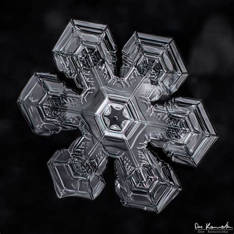 Fractal Geometry in Snowflakes | Snowflake photography, Fractal geometry, Winter photography