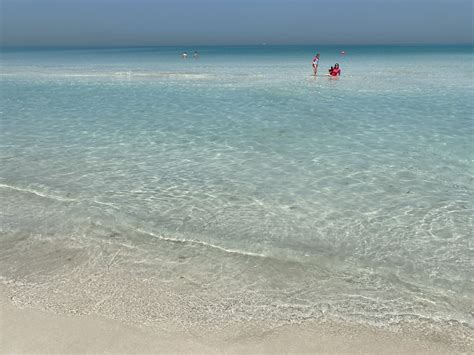 Saadiyat Beach: Complete Visitors Guide to Abu Dhabi's Best Beach | Abu Dhabi Travel Planner