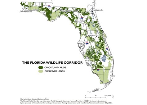 Florida's Wildlife Corridor: An Ambitious Proposal