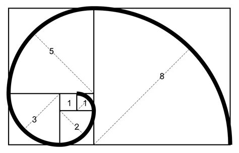 Fibonacci là gì? Ứng dụng dãy số Fibonacci vào Trading