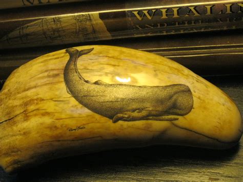 Pin on Scrimshaw