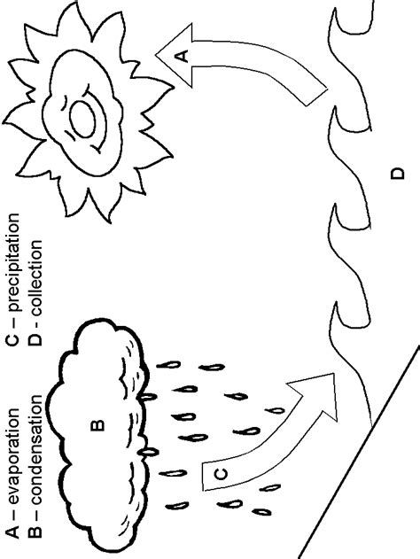 water cycle activity page...also this site has other unit resources.. | Water cycle, Water cycle ...