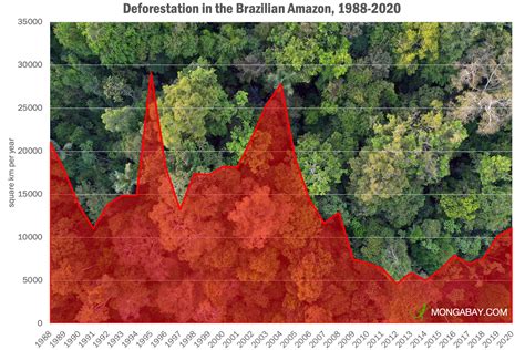 What's the current deforestation rate in the Amazon rainforest? What's the current deforestation ...