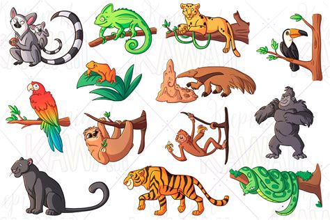 Rainforest Animals Clip Art By Keepin' It Kawaii | TheHungryJPEG