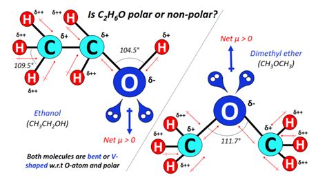 Is C2H6O polar or nonpolar? – Chemistry QnA in 2023 | Molecular ...