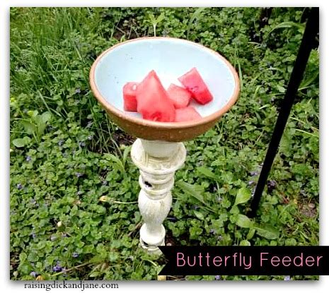 Raising Dick and Jane: How to Welcome Butterflies to Your Garden {DIY ...