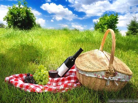 Picnic HD Wallpapers - Wallpaper Cave