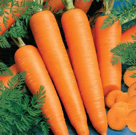 CARROT NEW KURODA – Asian and tropical vegetable seeds