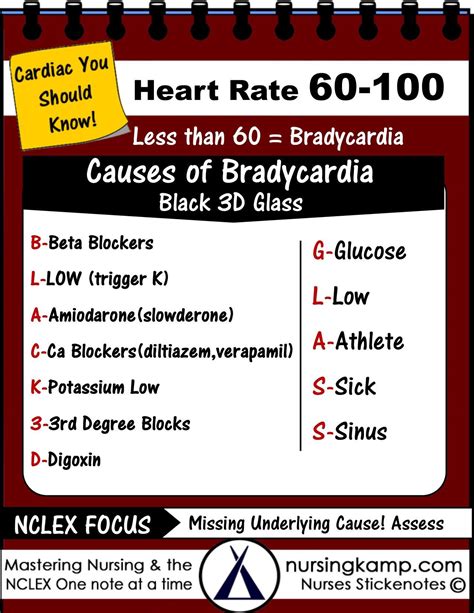 Bradycardia Cheat Sheet Causes Of Low Heart Rate | SexiezPix Web Porn