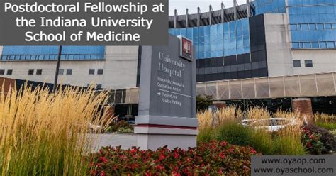 Postdoctoral Fellowship at the Indiana University School of Medicine ...