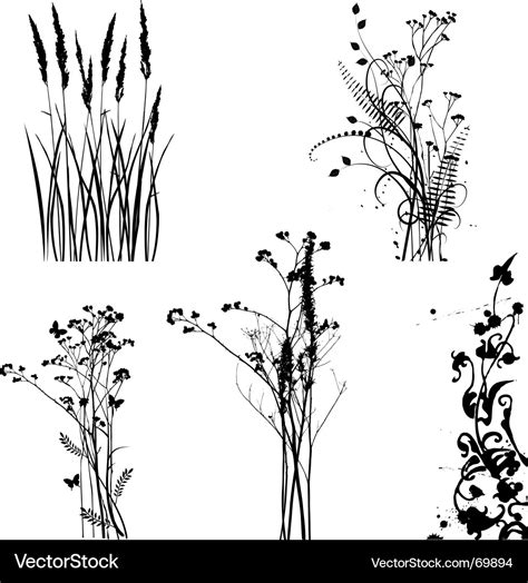 Black and white plants silhouettes Royalty Free Vector Image