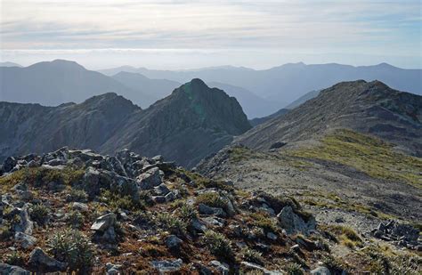 Mt Fishtail Route: Mount Richmond Forest Park, Marlborough region