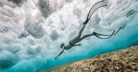 Winners of the Through Your Lens Underwater Photo Contest 2017