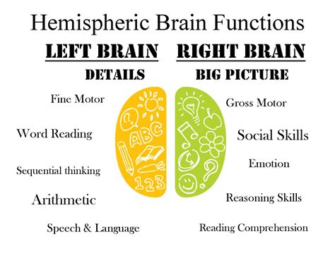 One of our own infographics depicting the various functions of the left ...