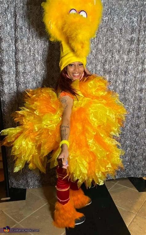 Big Bird Costume