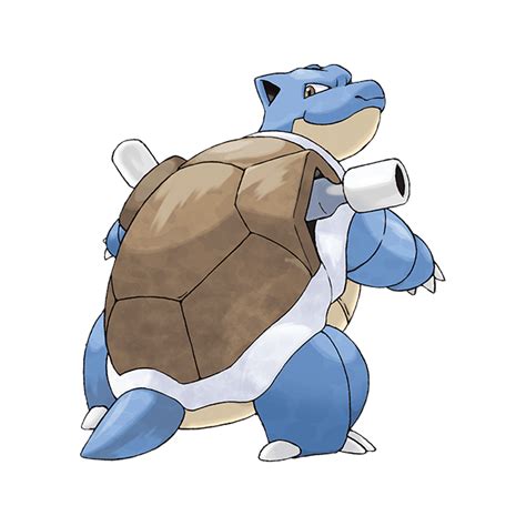 Squirtle | Pokédex | The official Pokémon Website in Indonesia