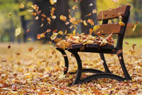 How to find balance during fall, the Ayurvedic vata season - Mindful Healthy Life