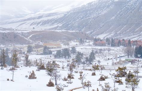 Mammoth Upper Terraces-What a Difference a Day Makes - Wilderness Walks