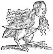 Human-chicken hybrids - Descriptions of three living specimens