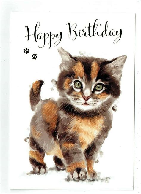 Cute Cat Birthday Cards - beyonce birthday card