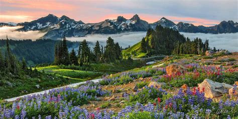 Eternal Beauty Pano | Panoramic Wall Art | Aaron Reed