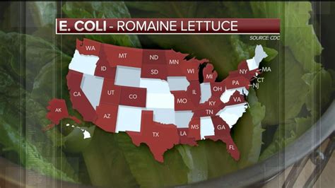 29 states now affected by E.coli romaine lettuce outbreak: CDC Video - ABC News