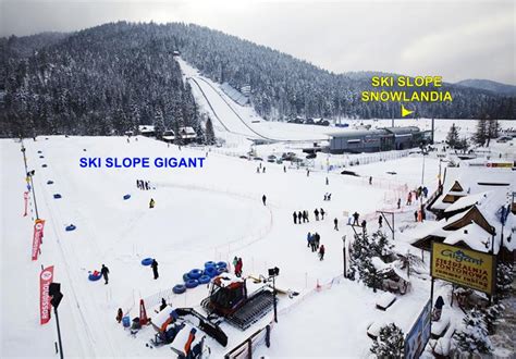 Ski slopes Gigant and Snowlandia in Zakopane. The essential information ...